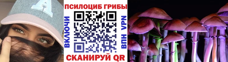 купить наркотик  Тимашёвск  Галлюциногенные грибы прущие грибы 
